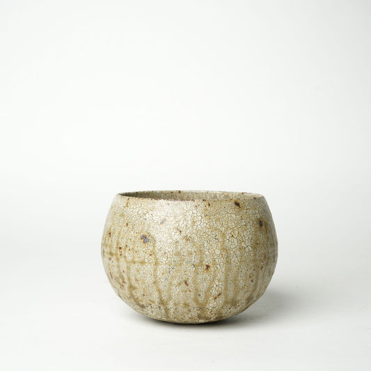 Shingo Umano Bowl (Matcha bowl)