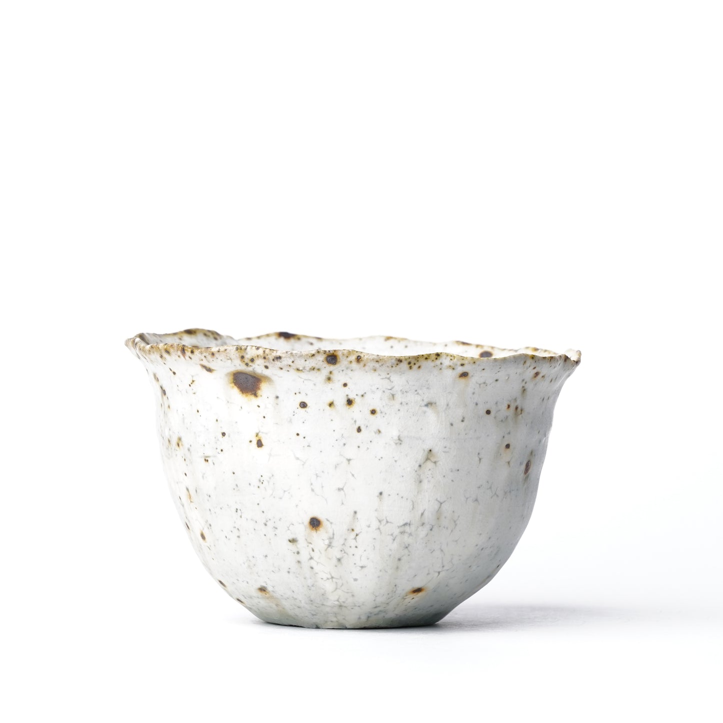 Mino Woodfired Exhibition Eihi Go Rinka Bowl Kohiki