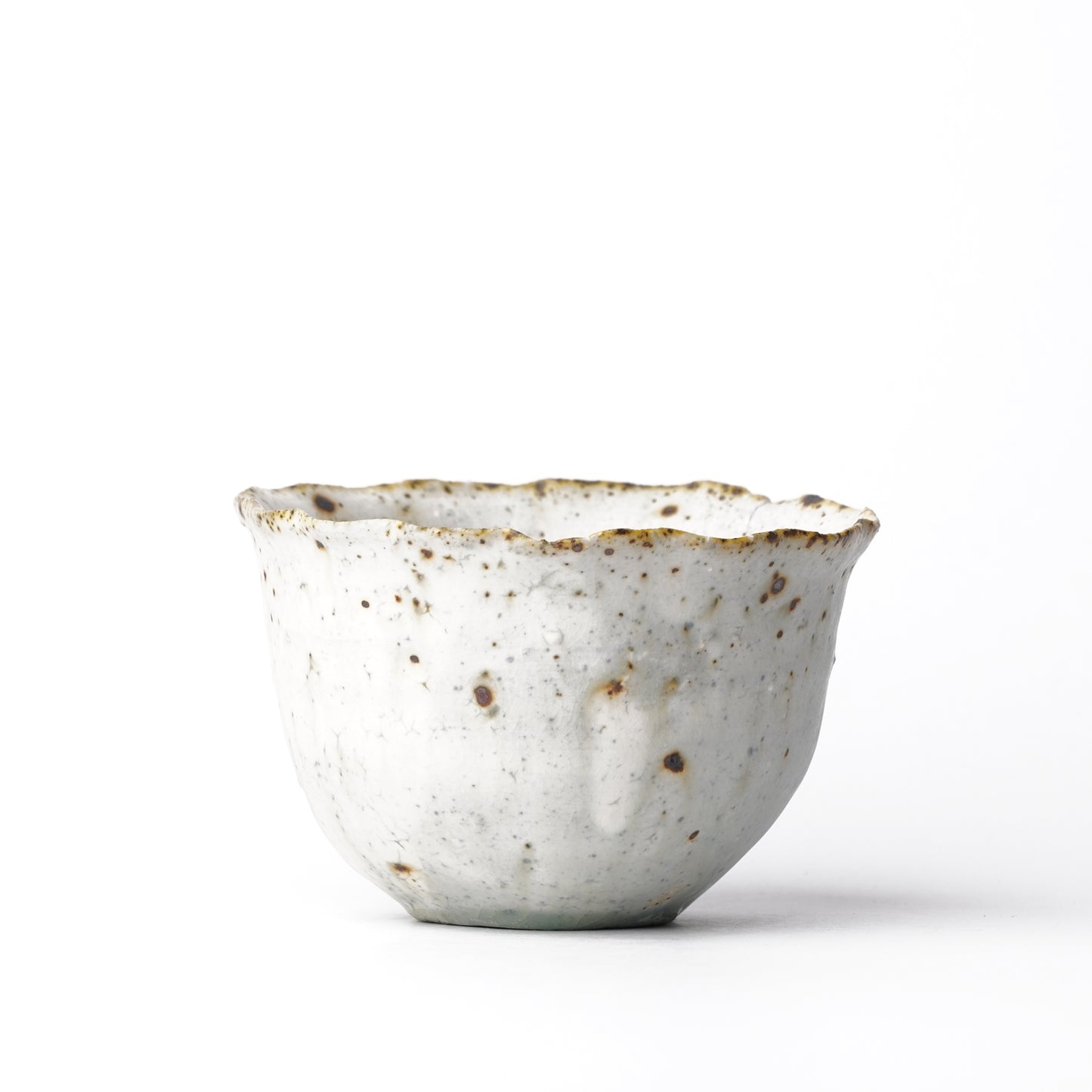 Mino Woodfired Exhibition Eihi Go Rinka Bowl Kohiki