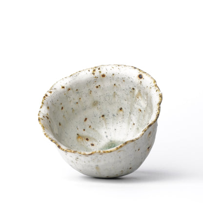 Mino Woodfired Exhibition Eihi Go Rinka Bowl Kohiki