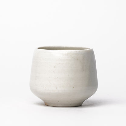 Mino Woodfired Exhibition Tsutomu Takeshita Yunomi Tea Cup