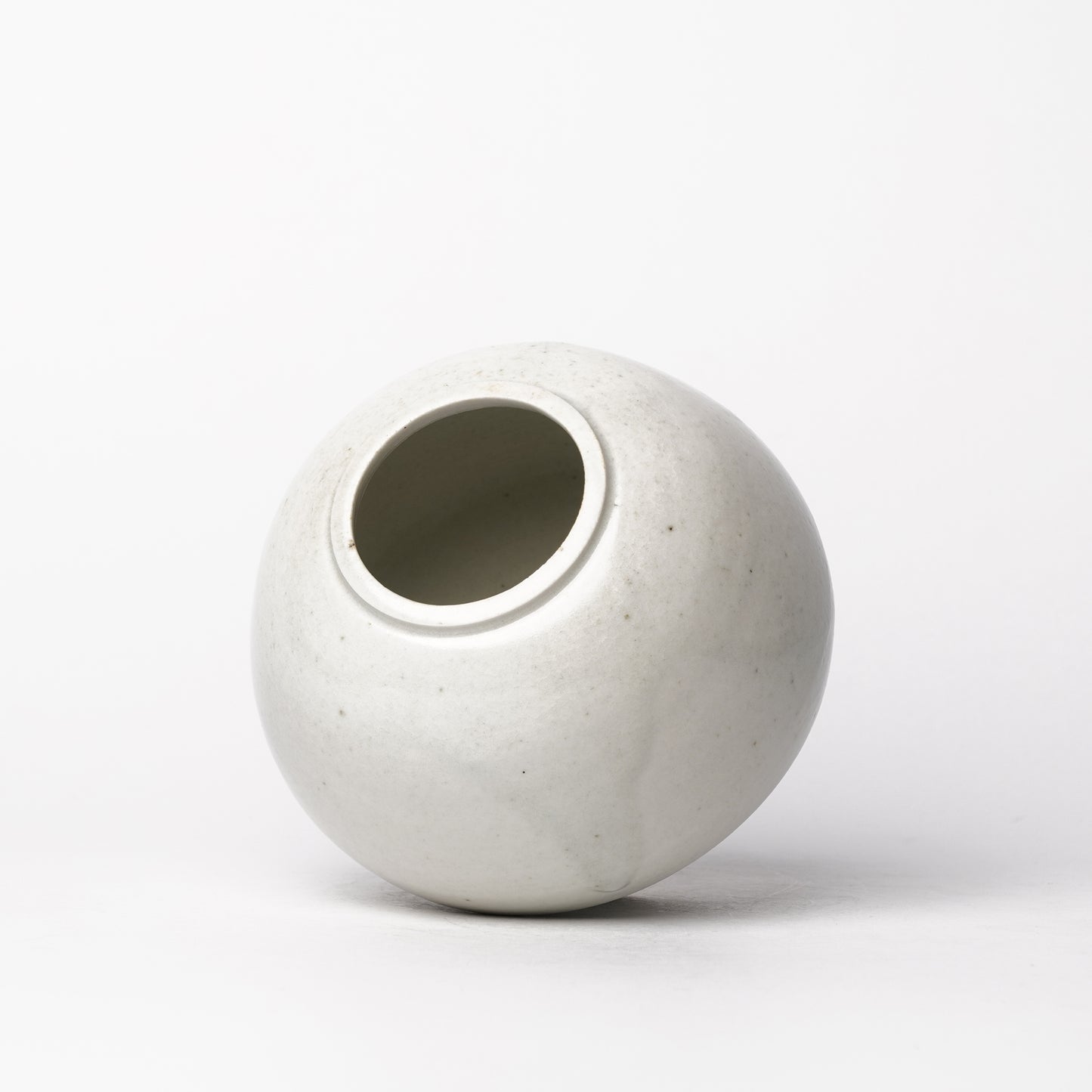 Mino Woodfired Exhibition Tsutomu Takeshita Vase