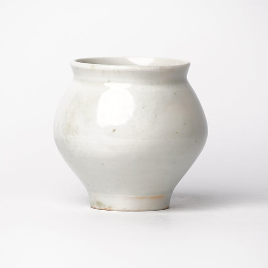 Mino Woodfired Exhibition Tsutomu Takeshita Medium Vase