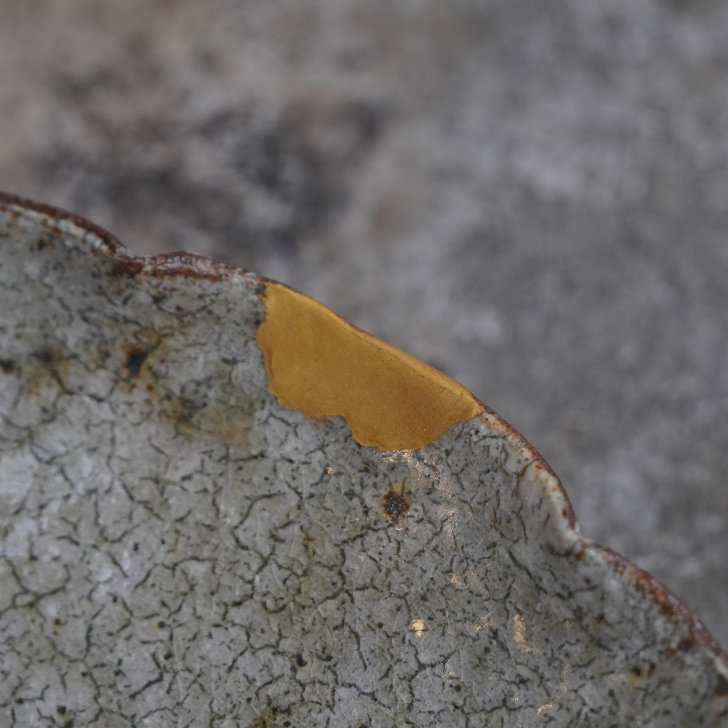 KINTSUGI Shingo Umano Flower Plate