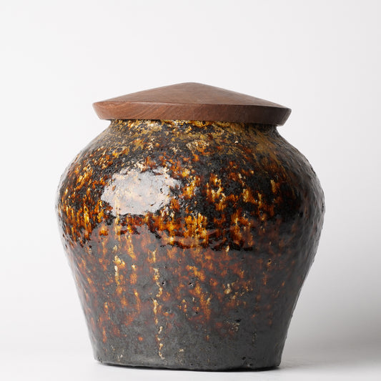 Futoshi Yamashita Volcanic Pottery Vase Jar with lid