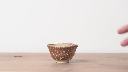 Shigarakiyaki Choko Sakecup Teacup Woodfired