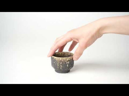 Keiji Tanaka Sake Cup Kokuji Woodfired