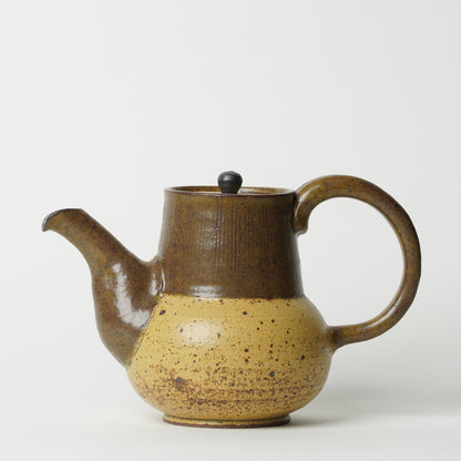 Toshinobu Araya Ryukakugama Tea Pot