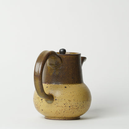 Toshinobu Araya Ryukakugama Tea Pot